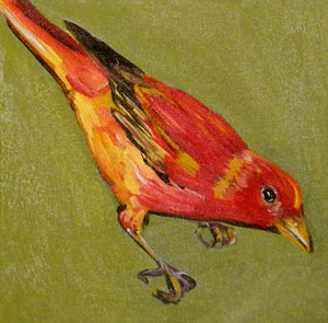 Bird #6